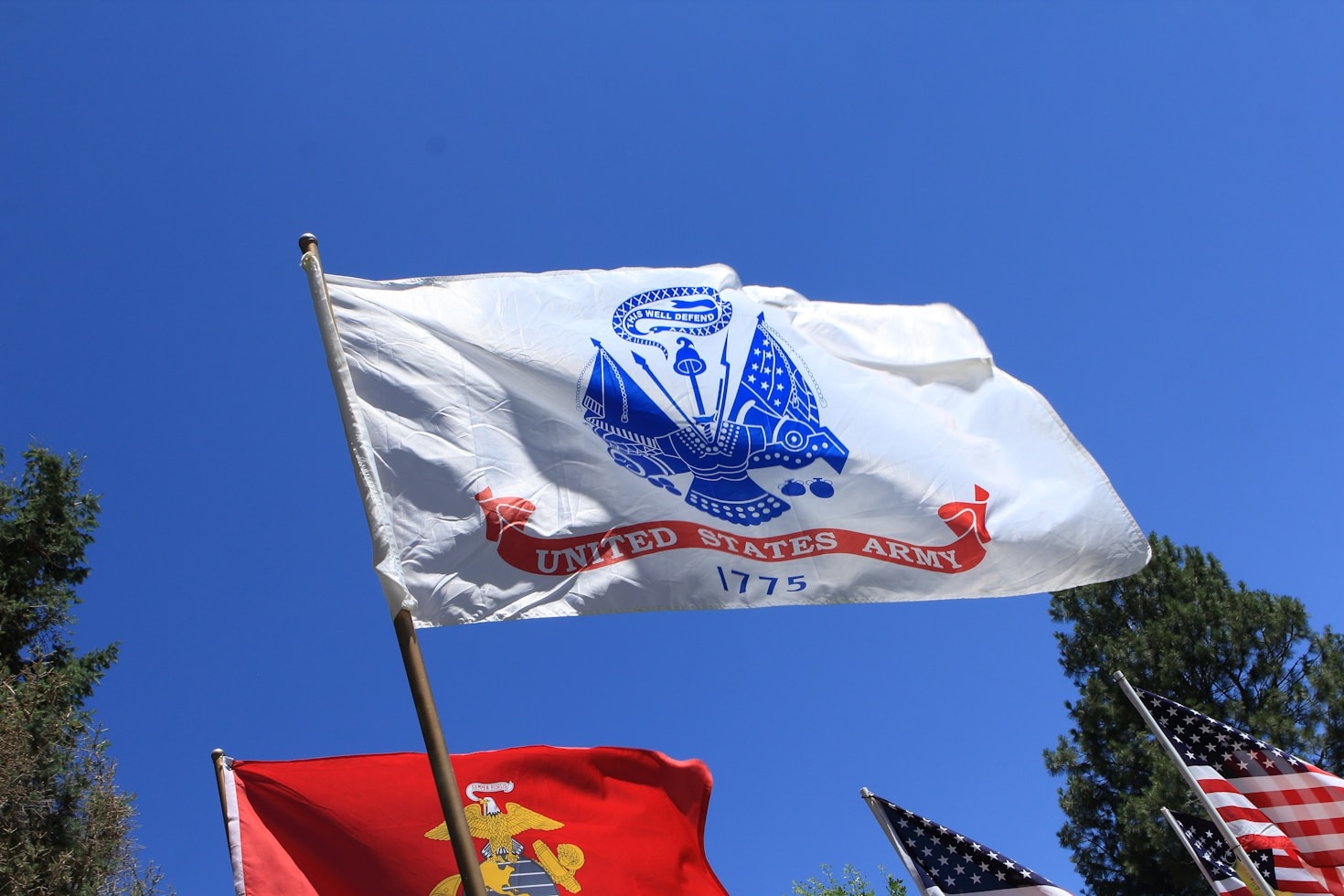 Creating Impact: Charleston Veterans in Action