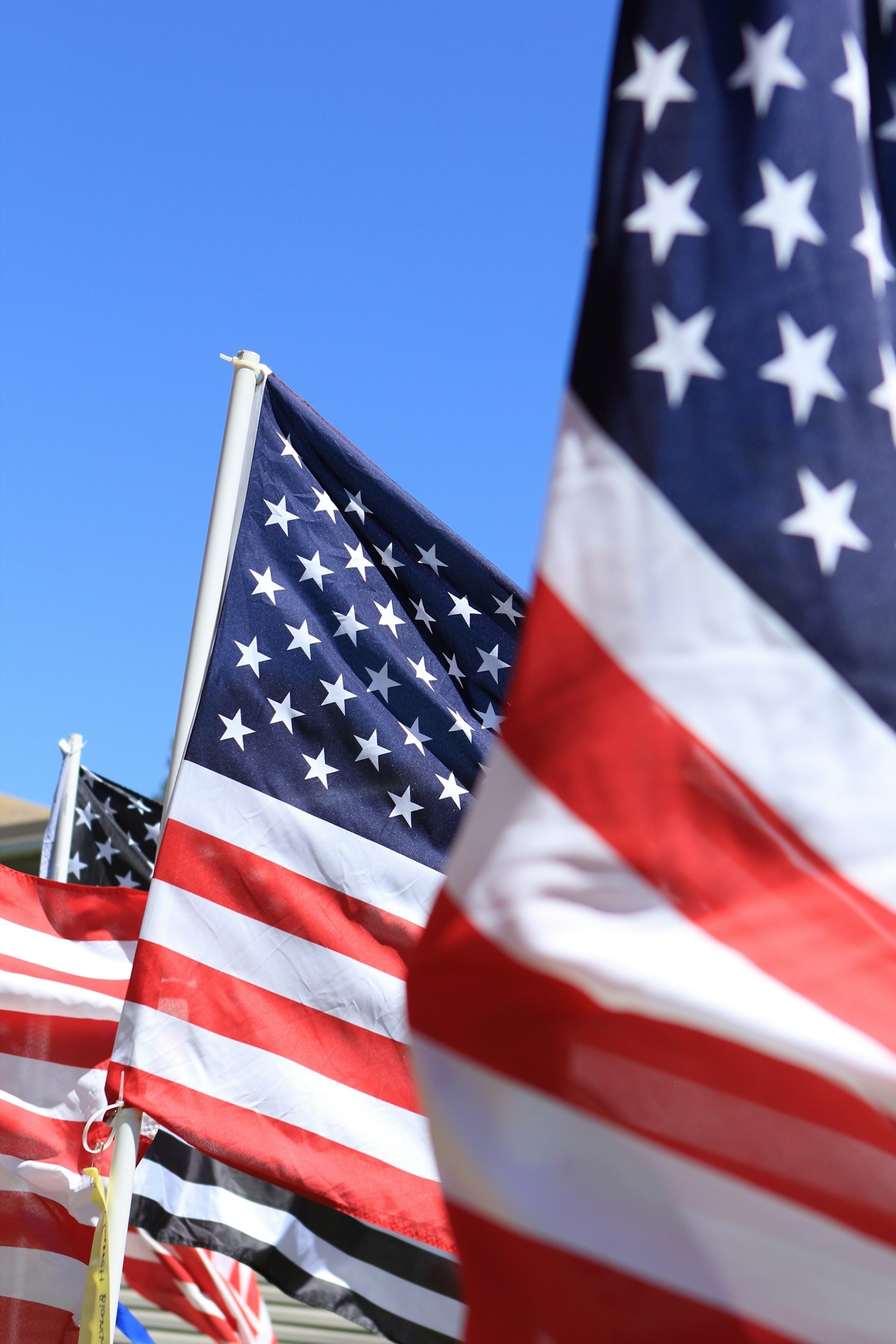 Resilience and Engagement: Lessons from Charleston Veterans